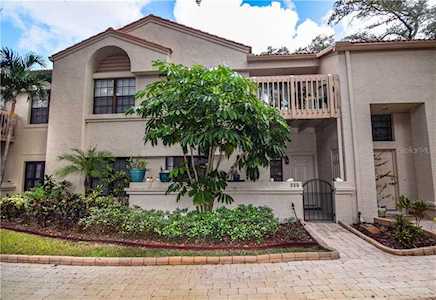 300 Los Prados Dr #513 Safety Harbor, FL 34695