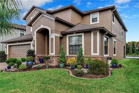 12740 Mountain Springs PLACE Trinity, FL 34655