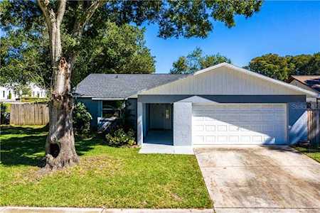 1343 Homestead Dr Palm Harbor, FL 34683