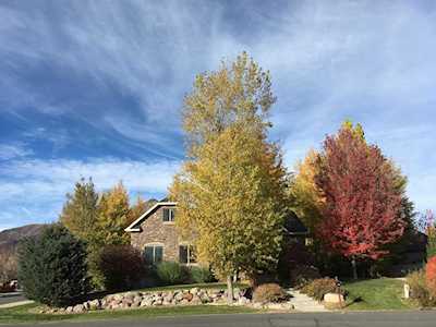 440 Meadowcreek Ln Midway, UT 84049