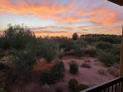 21320 N 56th Street #2094 Phoenix, AZ 85054