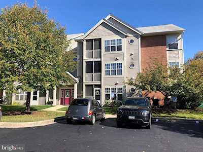 6511 Clear Drop Way #303 Glen Burnie, MD 21060