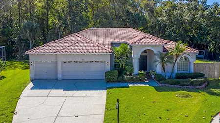 4762 Augusta Ave Oldsmar, FL 34677