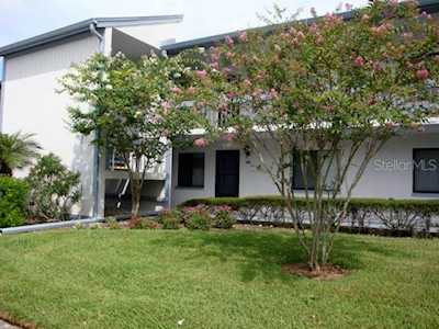 309 Martha Ln Oldsmar, FL 34677