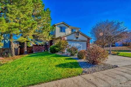 10440 Lone Lynx Lone Tree, CO 80124