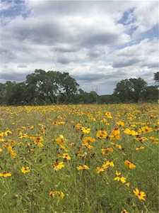 TBD Cattle Trail DR Dripping Springs, TX 78620