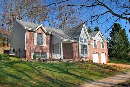 14315 White Birch Valley Ln Chesterfield, MO 63017