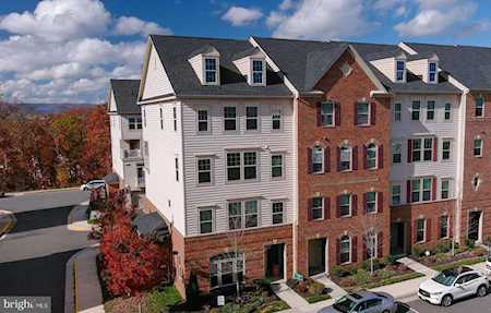 25995 Braided Mane Terrace Aldie, VA 20105