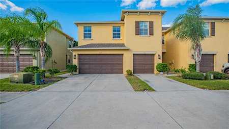 9517 Trumpet Vine LOOP Trinity, FL 34655