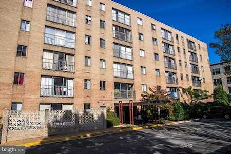 4241 Columbia Pike #506 Arlington, VA 22204