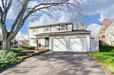 8701 Ripton Drive Powell, OH 43065