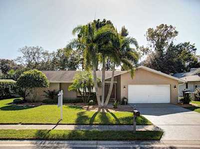 1812 Pine Hill Dr Safety Harbor, FL 34695