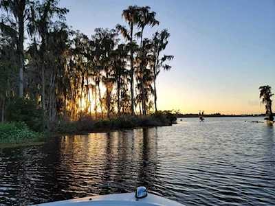 14192 Bridgewater Crossings Blvd Windermere, FL 34786