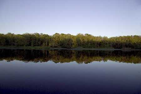 7706 Vireo Lane #Lot 370 Panama City Beach, FL 32413