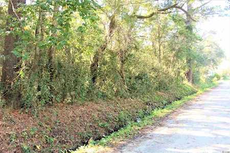 TBD Smalls Loop Pawleys Island, SC 29585