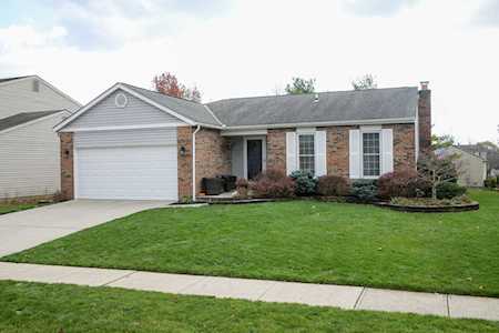 1955 Diamondback Drive Powell, OH 43065