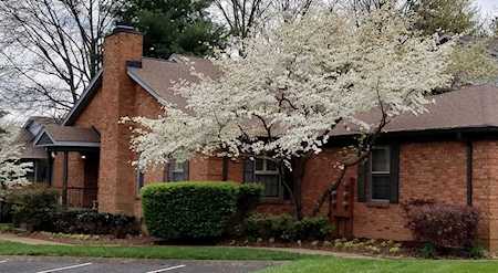 231 Hearthstone Manor Ln Brentwood, TN 37027