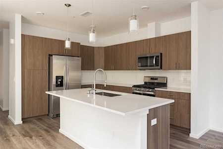31192 Black Eagle Dr #201 Evergreen, CO 80439