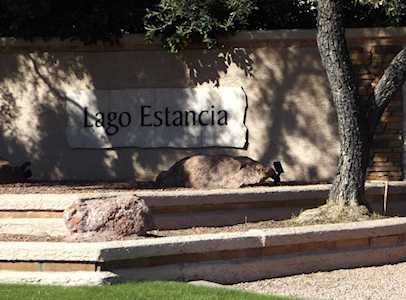 434 W Verano Place Gilbert, AZ 85233