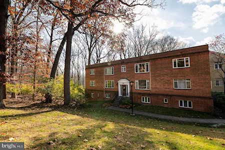 10317 Montrose Ave #2 Bethesda, MD 20814