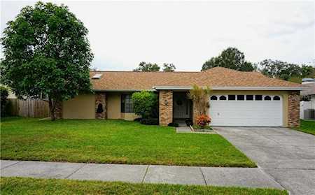 5005 Bridgeport Dr Safety Harbor, FL 34695