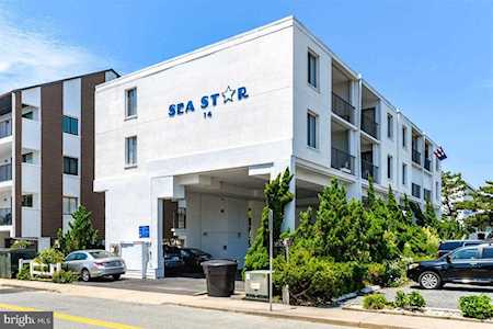 14 70th St #202 Ocean City, MD 21842