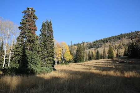 319 White Pine Canyon Rd Park City, UT 84060