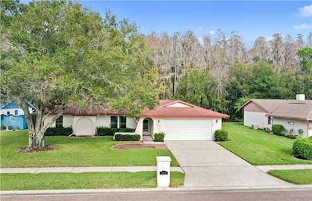 505 Lakeview Dr Oldsmar, FL 34677