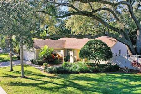 4765 Lake Valencia Blvd W Palm Harbor, FL 34684