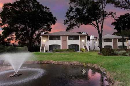 2969 Bonaventure Ct #201 Palm Harbor, FL 34684