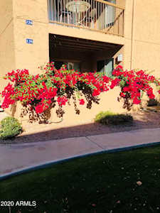 8256 E Arabian Trail #126 Scottsdale, AZ 85258