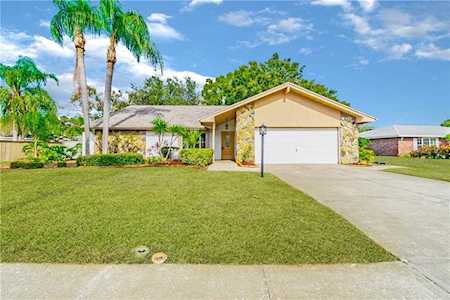 20 Citrus Ct Palm Harbor, FL 34683