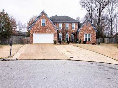 8919 Gooseberry Cv Memphis, TN 38016