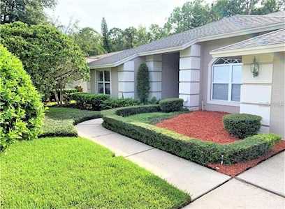 436 Centerwood Dr Tarpon Springs, FL 34688