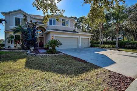 4244 Sandy Shores Dr Lutz, FL 33558