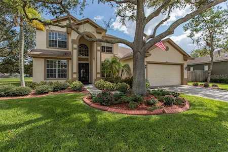 443 Equine Dr Tarpon Springs, FL 34688