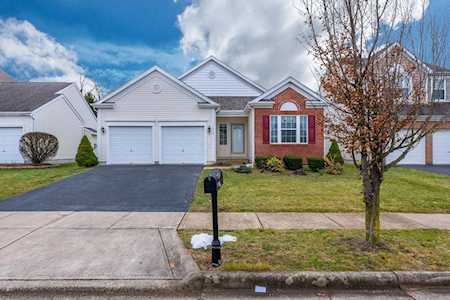 7275 Winterbek Avenue New Albany, OH 43054