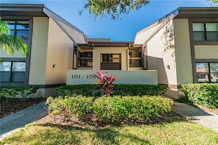 103 Woodlake Ln #103 Oldsmar, FL 34677