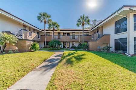 2700 Nebraska Ave #2-203 Palm Harbor, FL 34684