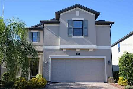 1985 Nature View Dr Lutz, FL 33558
