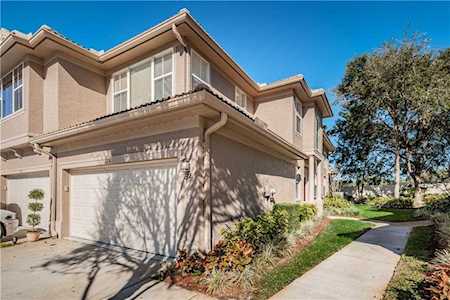 1664 Fieldfare Ct Dunedin, FL 34698