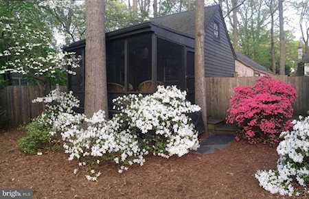 158 Henlopen Avenue #8 Rehoboth Beach, DE 19971