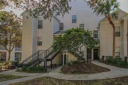 3266 Haviland Ct #302 Palm Harbor, FL 34684