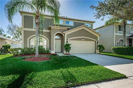 1798 Split Fork Dr Oldsmar, FL 34677