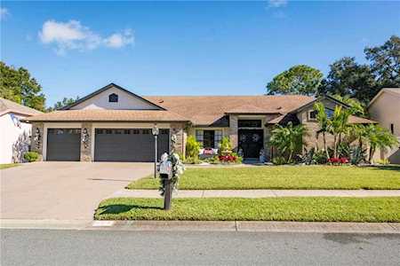 667 Litchfield Ln Dunedin, FL 34698