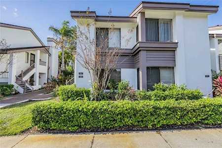 1837 Lake Cypress Dr #504 Safety Harbor, FL 34695