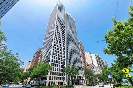 1100 N Lake Shore Dr #13C Chicago, IL 60611
