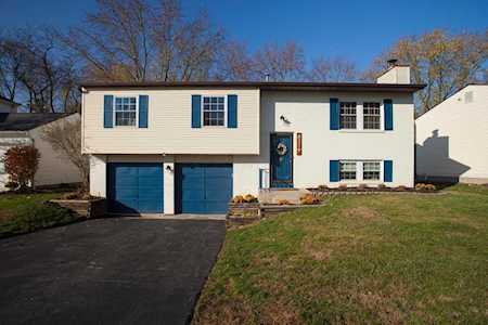 8219 Lone Tree Drive Powell, OH 43065