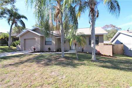1043 County Road 90 Palm Harbor, FL 34684