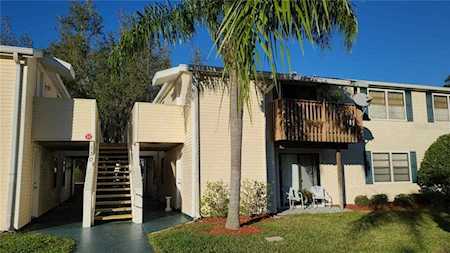 130 Sabal Ct #C Oldsmar, FL 34677